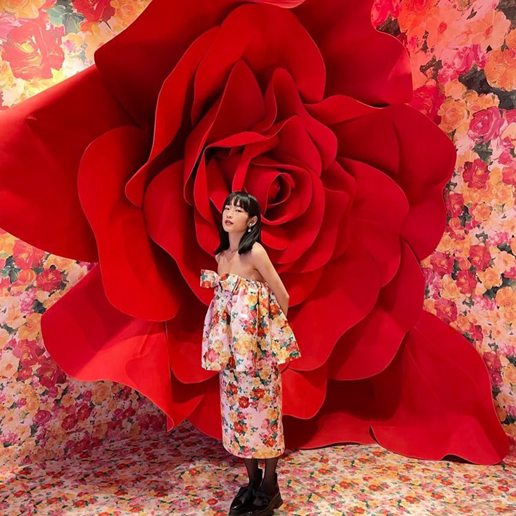 Risastór rós bakgrunnstilmur