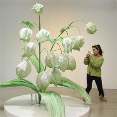 Lilja af pappírsblómum dalsins